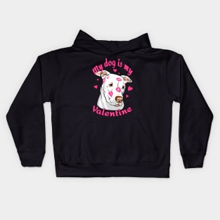 My Dog Is My Valentine Funny Valentines Day Pit Bull lover Kids Hoodie